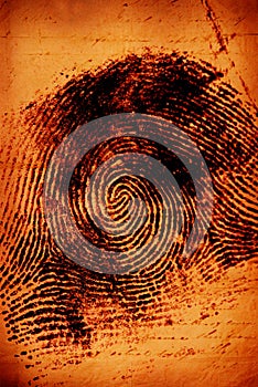 Thumbprint