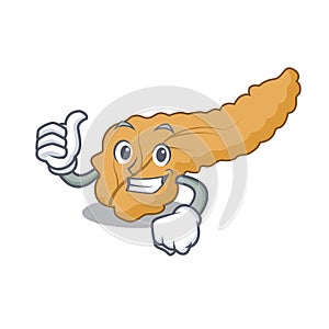 Thumbs up pancreas character cartoon style