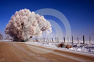 Thunder City Road - Winter 7