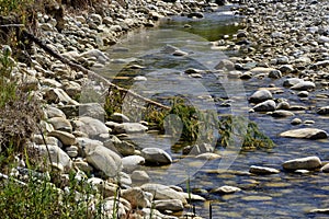 Thunder Creek photo