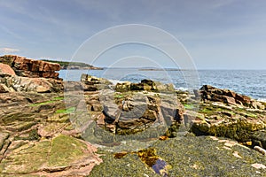 Thunder Hole - Acadia National Park