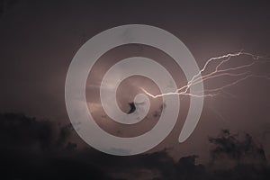 Thunder and Lightning