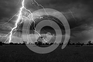 Thunder and lightnings during summer storm on meadow