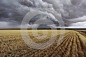 Thunder-storm. Fields after harvest