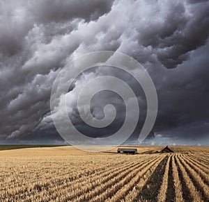 The thundercloud on fields of Montana