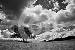 Thunderclouds photo