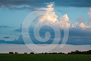 Thunderhead clouds over pasture