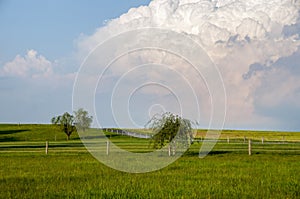 Thunderhead Over The Meadow