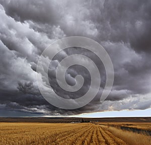 Thunderstorm above fields