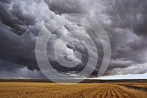 Thunderstorm above fields after harvesting.