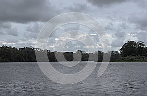 Thunderstorm on the banks of the tortuguero river in costa rica