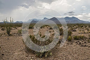 Thunderstorm in Big Bend National Park