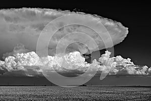 Thunderstorm cumulonimbus cloud over a field photo
