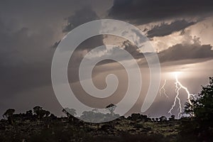 Thunderstorm over Quiver trees in Namibia