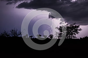 Thunderstorm over Quiver trees in Namibia