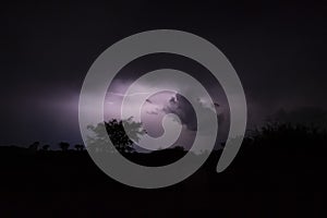 Thunderstorm over Quiver trees in Namibia