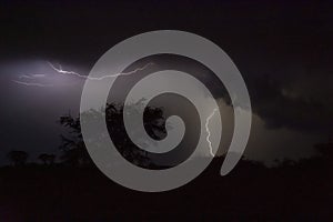 Thunderstorm over Quiver trees in Namibia