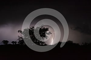 Thunderstorm over Quiver trees in Namibia