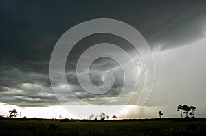 A thunderstorm sweeps over the Everglades.