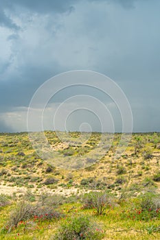 Thunderstorm unusual cloud over the Kyzylkum desert