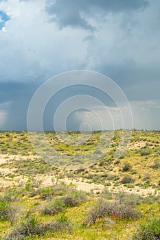 Thunderstorm unusual cloud over the Kyzylkum desert