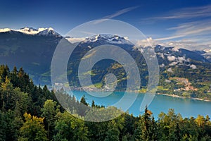 Thunersee lake from the Niederhorn hill near the Interlaken in Switzerland. Mountain landscape in Europe. Sunny day with forest an