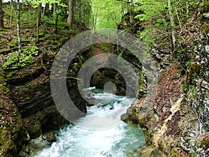 The Thur River Canyon die Schlucht des Flusses Thur in the Unterwasser settlement and the Obertoggenburg region