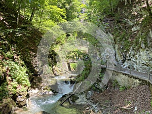 The Thur river canyon die Schlucht des Flusses Thur in the Unterwasser settlement and the Obertoggenburg region - Switzerland