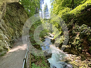 The Thur river canyon die Schlucht des Flusses Thur in the Unterwasser settlement and the Obertoggenburg region - Switzerland