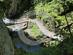 The Thur river canyon die Schlucht des Flusses Thur in the Unterwasser settlement and the Obertoggenburg region - Switzerland