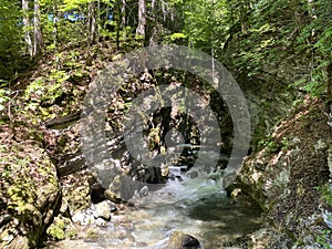 The Thur river canyon die Schlucht des Flusses Thur in the Unterwasser settlement and the Obertoggenburg region - Switzerland