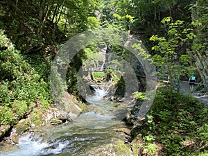 The Thur river canyon die Schlucht des Flusses Thur in the Unterwasser settlement and the Obertoggenburg region - Switzerland