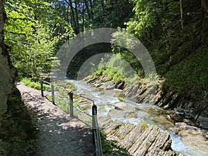 The Thur river canyon die Schlucht des Flusses Thur in the Unterwasser settlement and the Obertoggenburg region - Switzerland