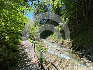 The Thur river canyon die Schlucht des Flusses Thur in the Unterwasser settlement and the Obertoggenburg region - Switzerland