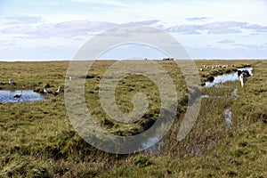 In the thurm cap of St. Peter-Ording