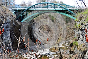 Thurston Bridge in spring Cornell