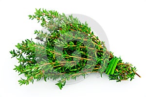 Thyme