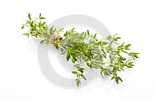 Thyme .