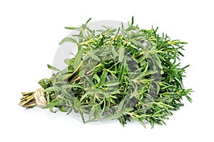 Thyme