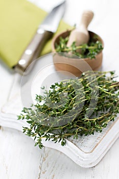 Thyme