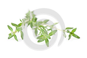 Thyme