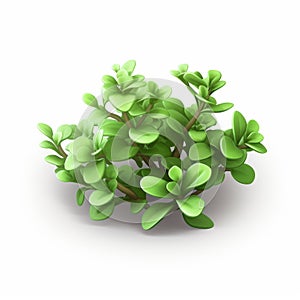 Thyme 3d Icon: Cartoon Clay Material With Nintendo Isometric Spot Light