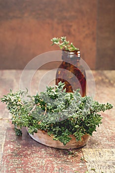 Thyme