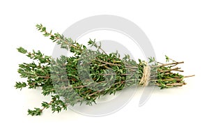 Thyme