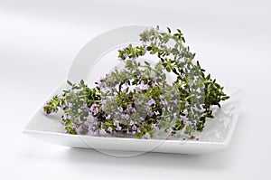 Thyme blossom leaves