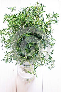 Thyme bouquet photo