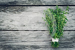 Thyme bunch. Bundle of fresh thymes on a wooden background. Retro magazine picture. Copy space