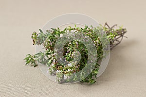Thyme