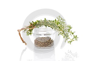 Thyme, culinary aromatic herbs.