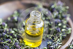 Thyme essential oil